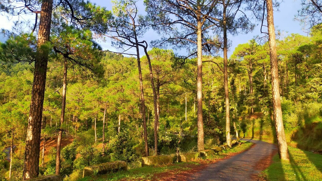 Photo of Outdoor in McLeod Ganj