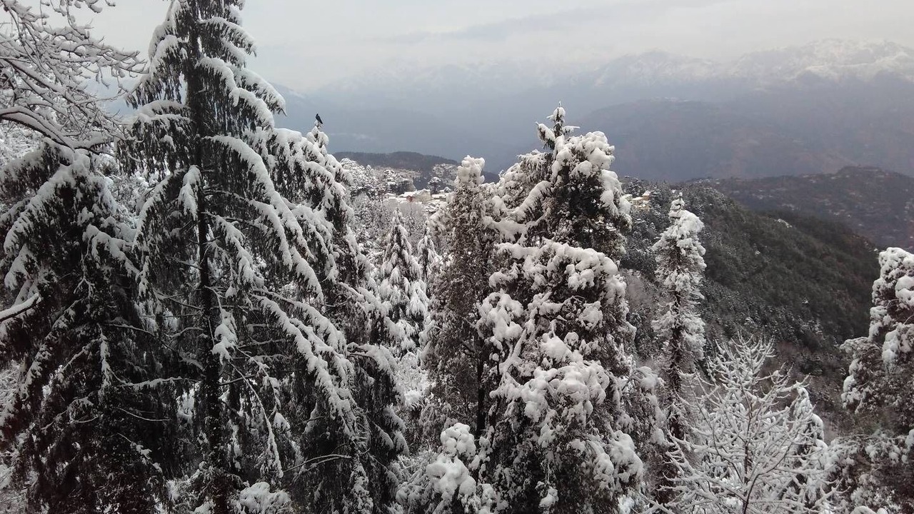Photo of Outdoor in McLeod Ganj