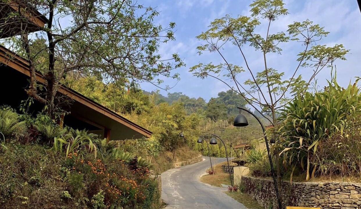 Photo of Outdoor in Kurseong