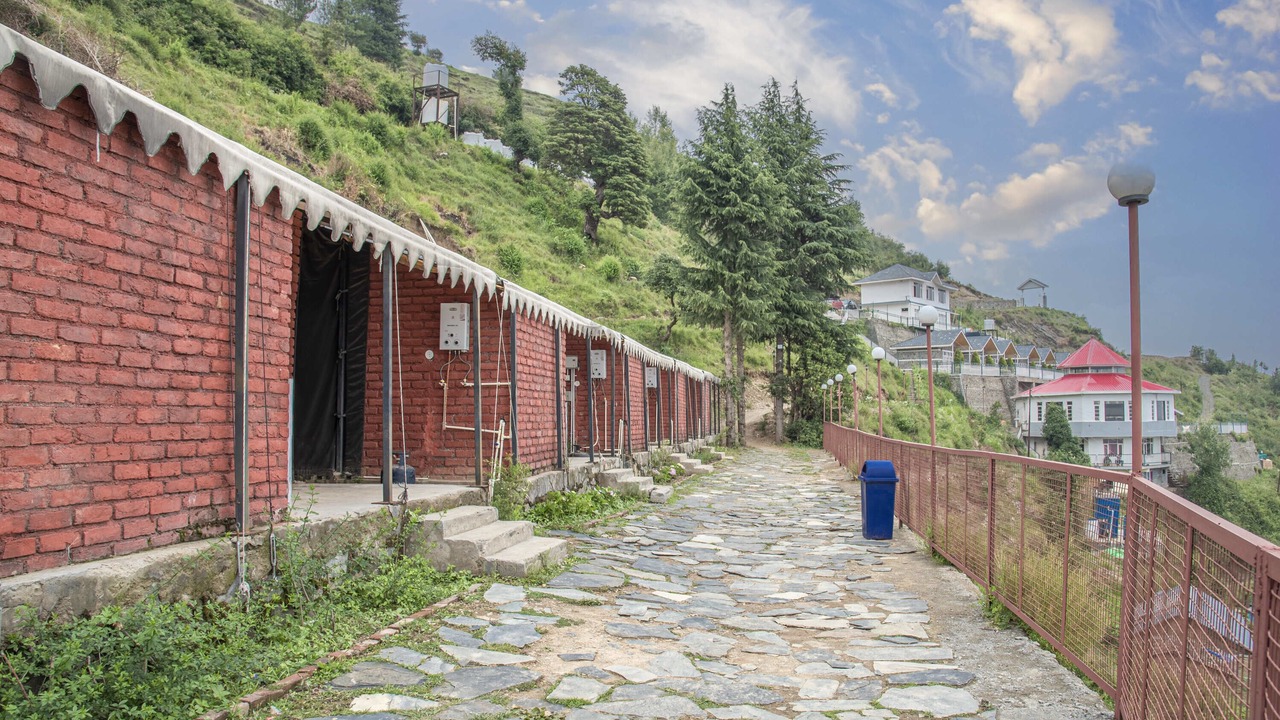 Photo of Others in Shimla