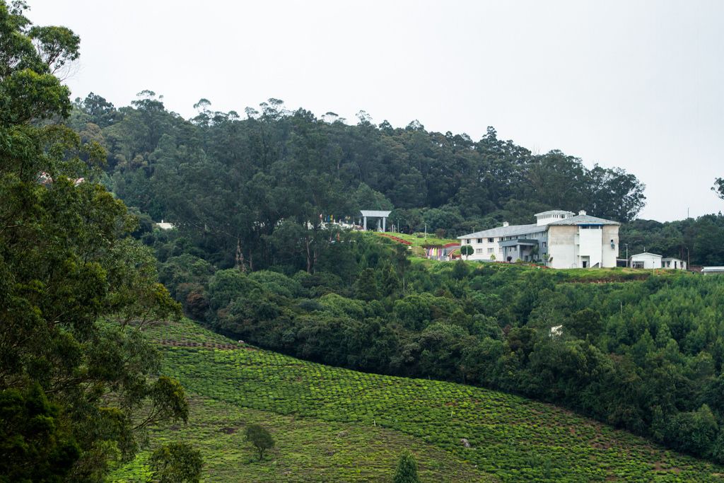 Photo of Outdoor in Ooty