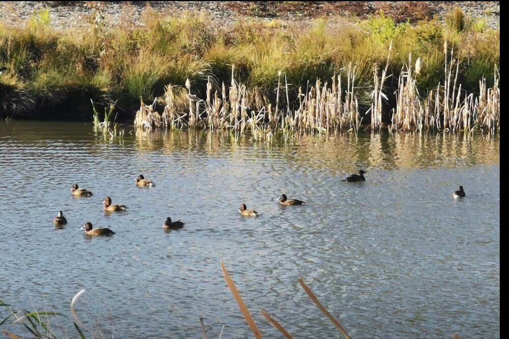 Photo of Outdoor in Beaumont Hills