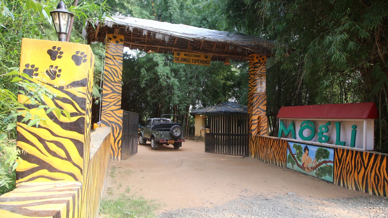 Photo of Outdoor in Tala