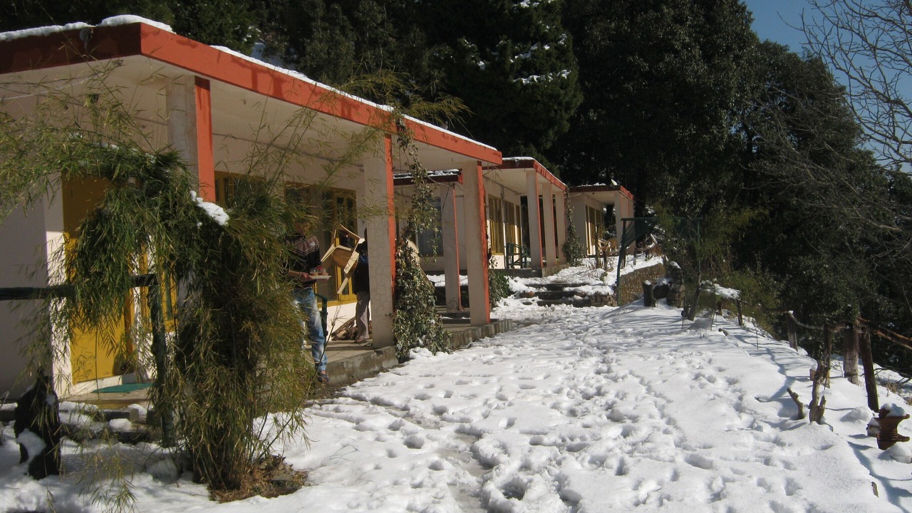 Photo of Outdoor in Pangot