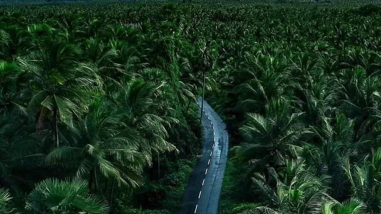 Photo of Outdoor in Udumalaipettai