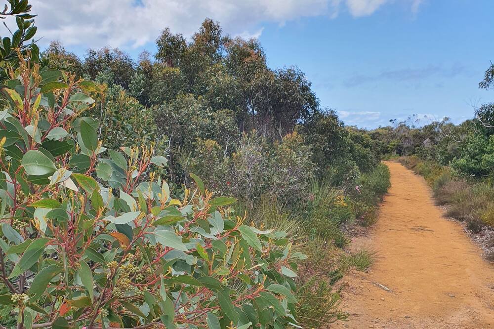 Photo of Outdoor in Bundeena