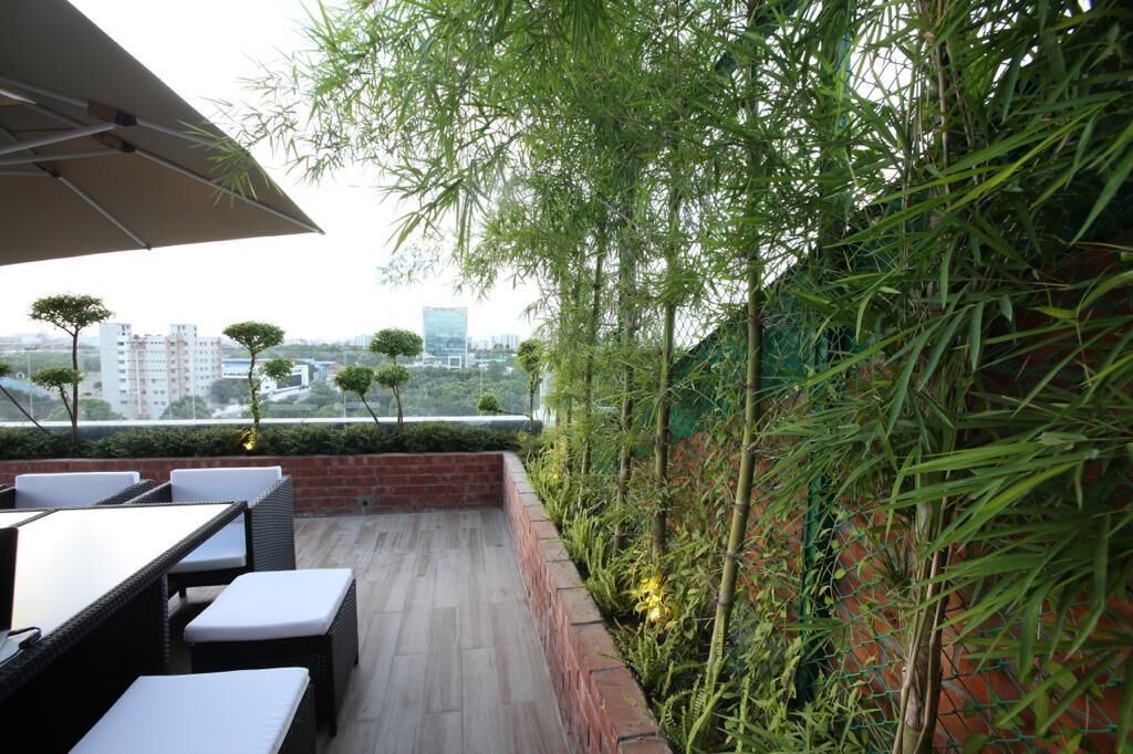 Photo of Patio Balcony in Dhaka