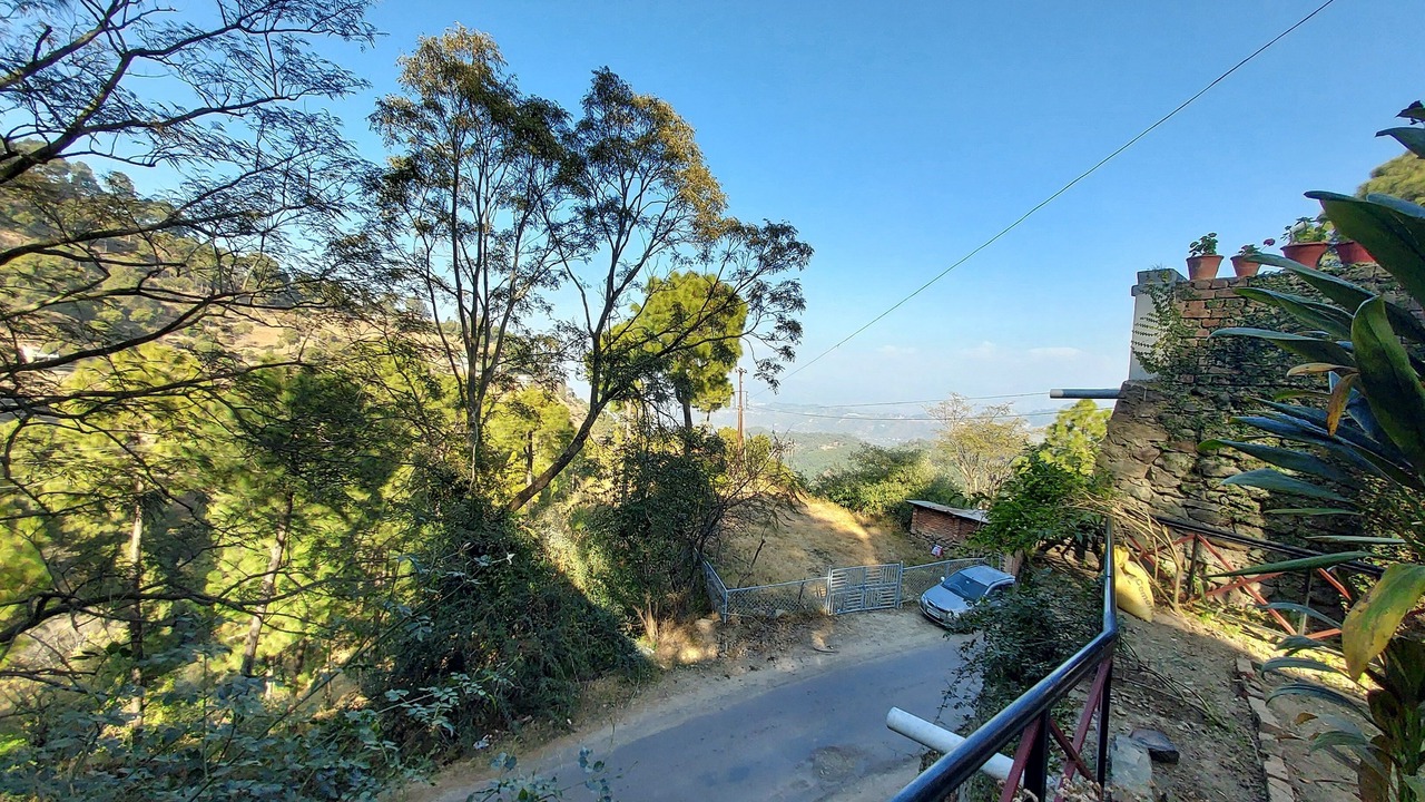 Photo of Others in Kasauli