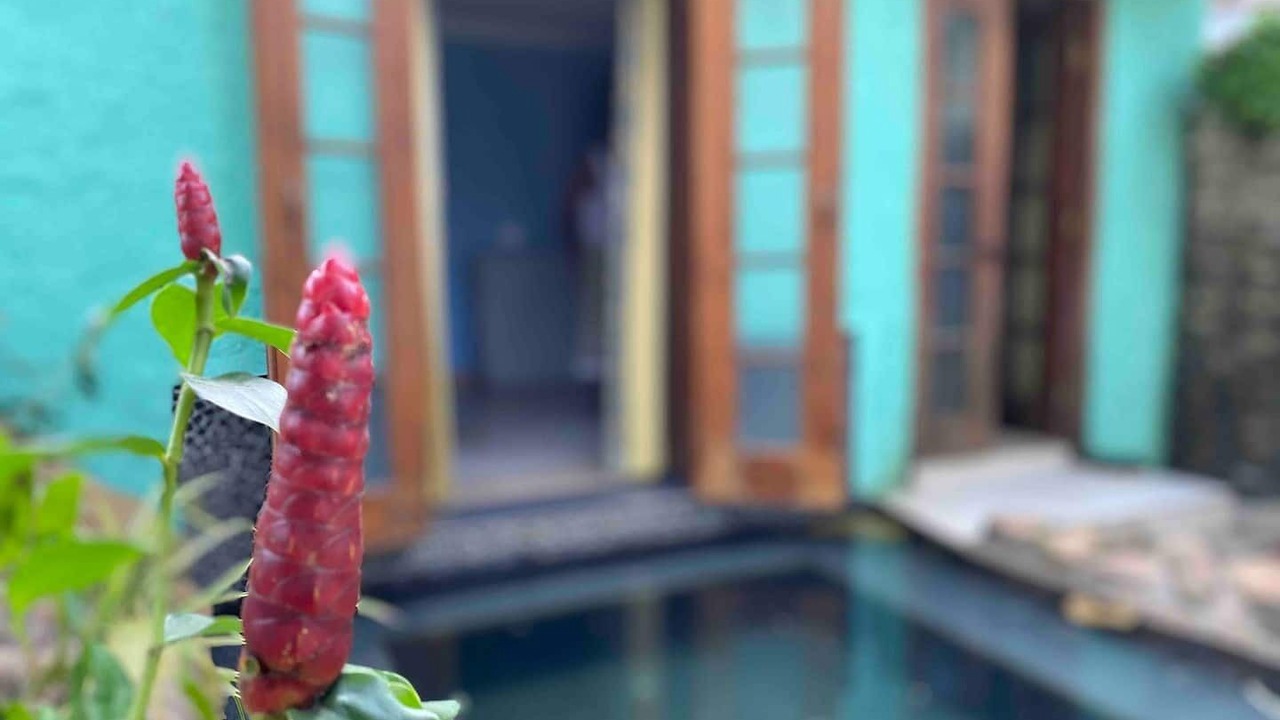 Photo of Outdoor in Anjuna