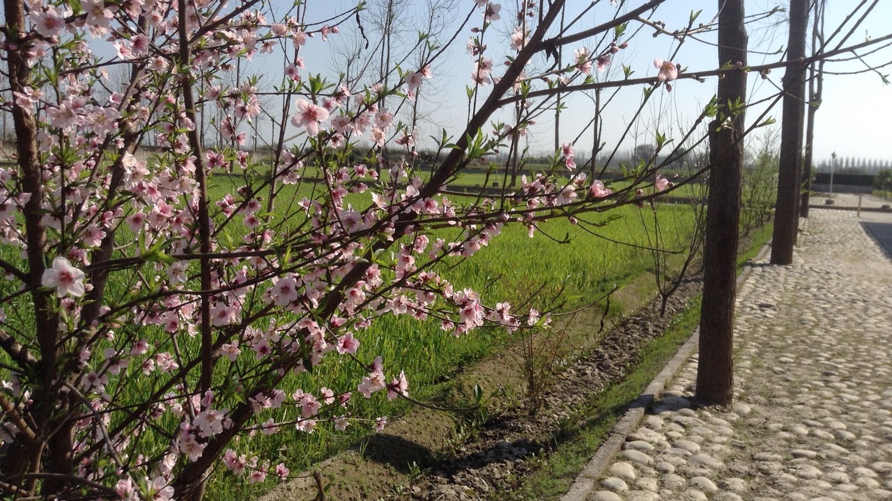 Photo of Outdoor in Anandpur Sahib