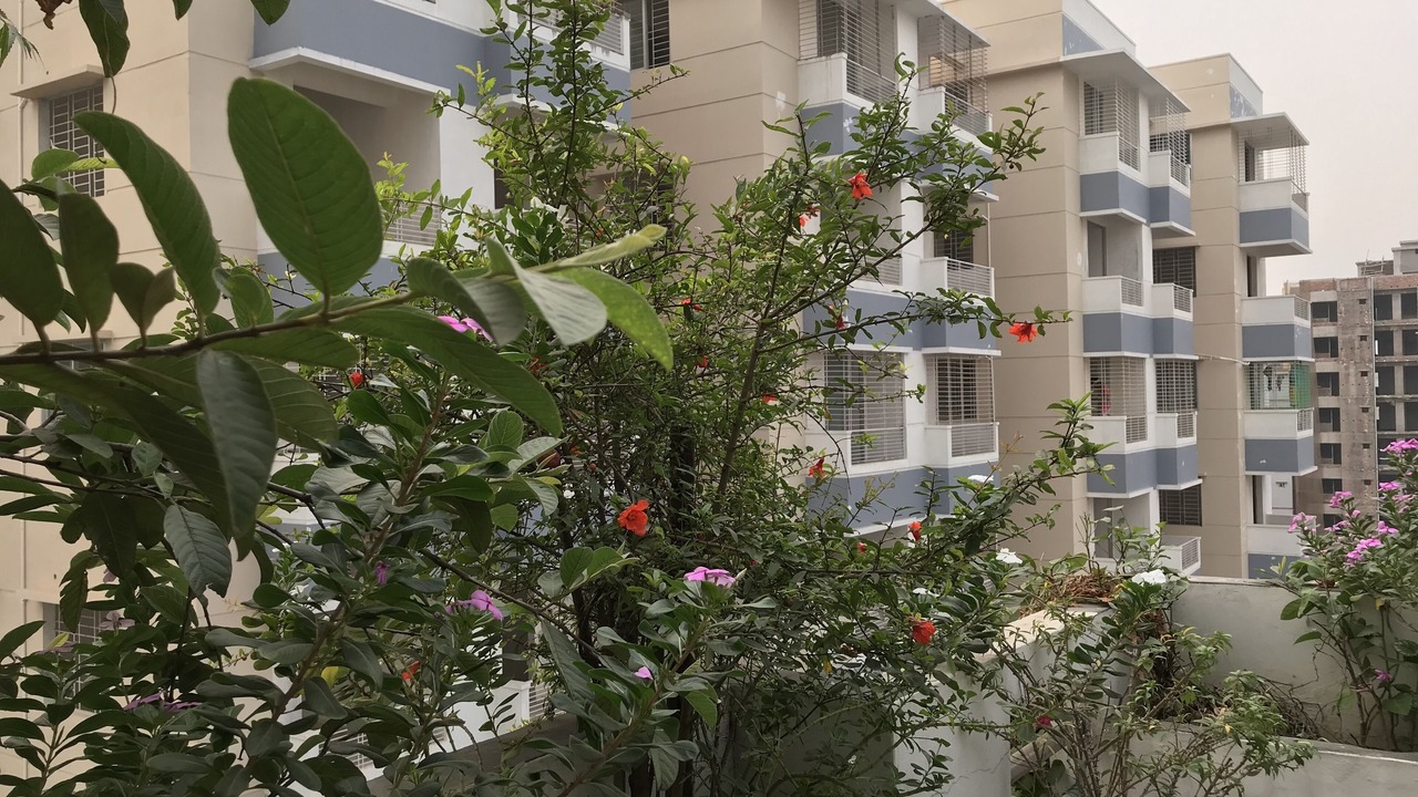 Photo of Outdoor in Dhaka