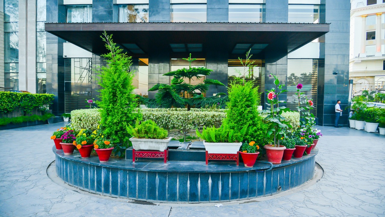 Photo of Outdoor in Zirakpur