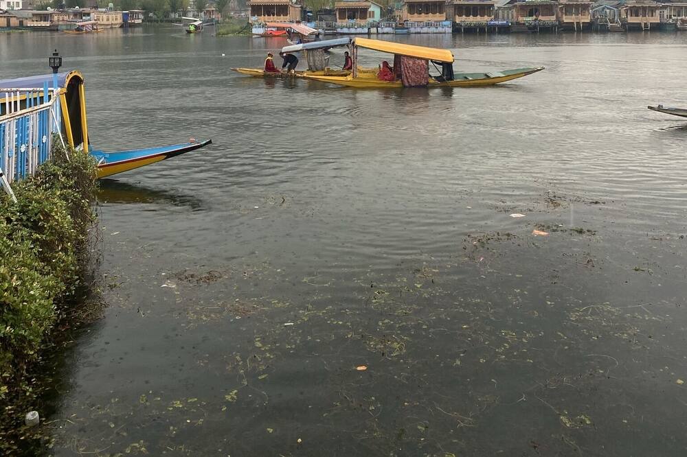 Photo of Others in Dal Lake