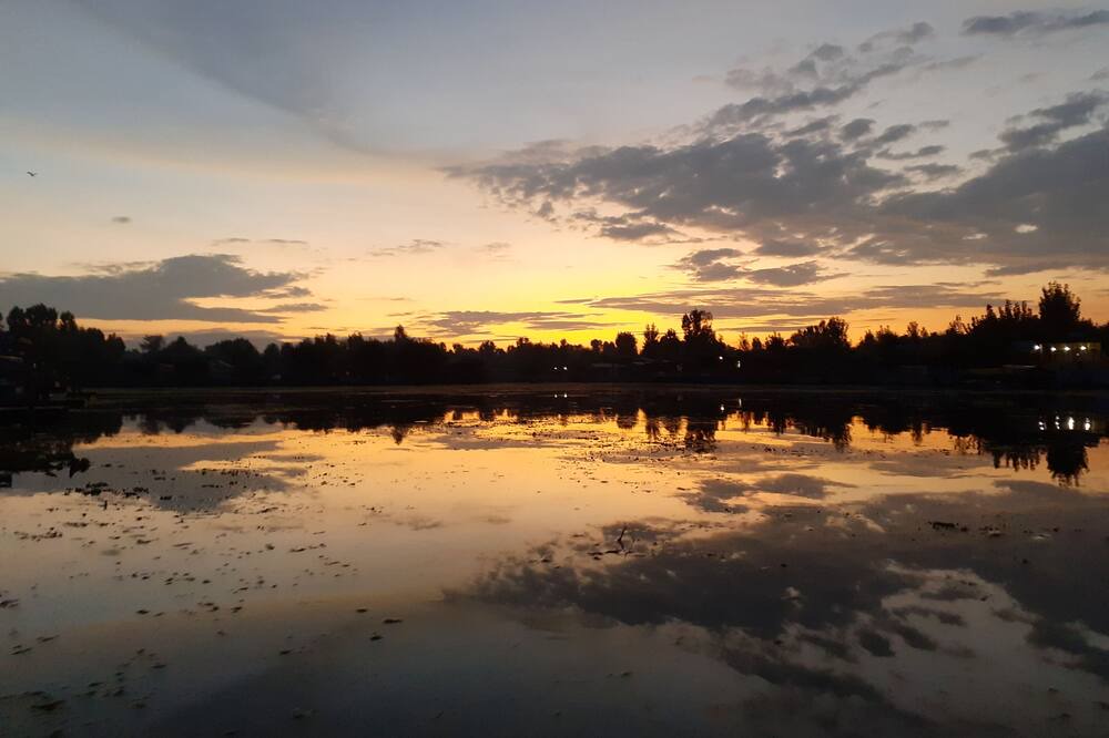 Photo of Bedroom in Dal Lake