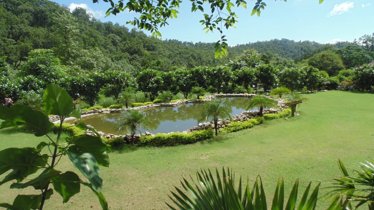 Photo of Outdoor in Chilkiya Range