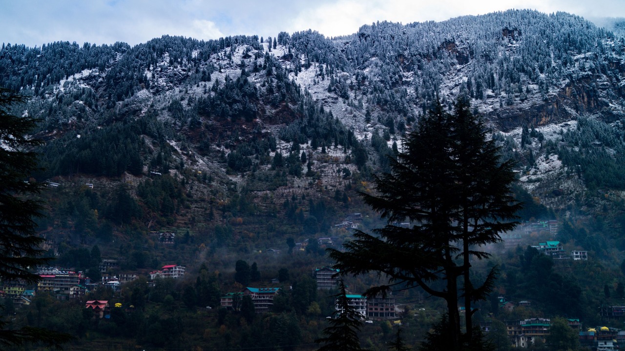 Photo of Patio Balcony in New Manali