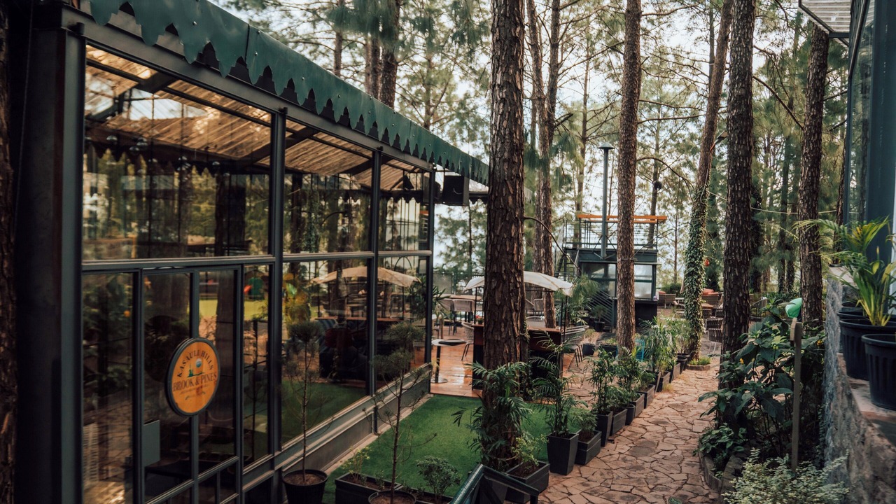 Photo of Outdoor in Kasauli