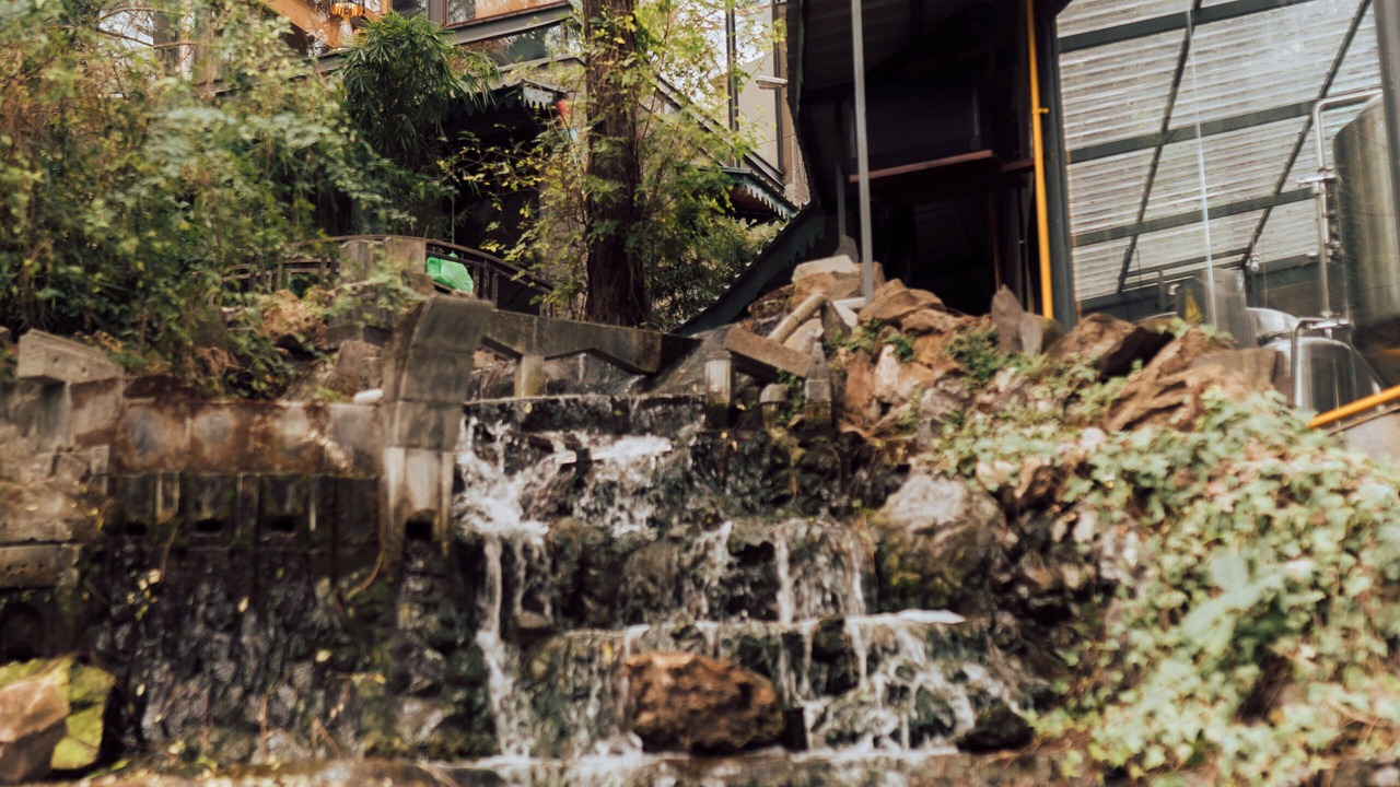 Photo of Outdoor in Kasauli