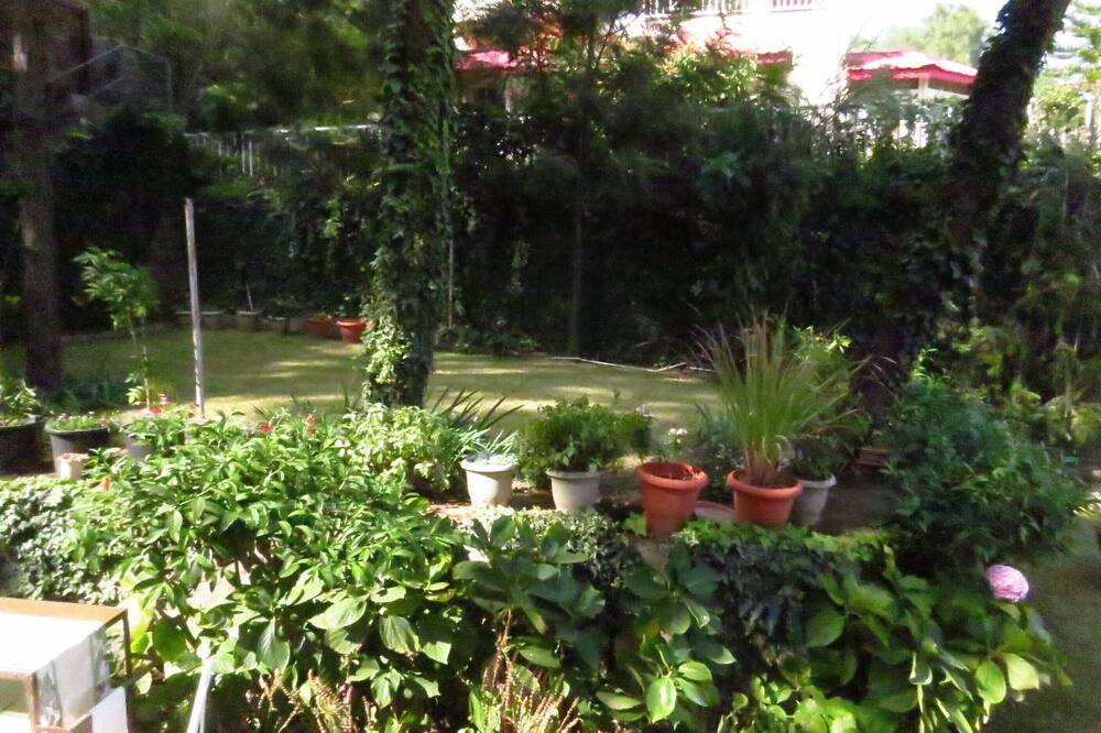 Photo of Outdoor in Kasauli