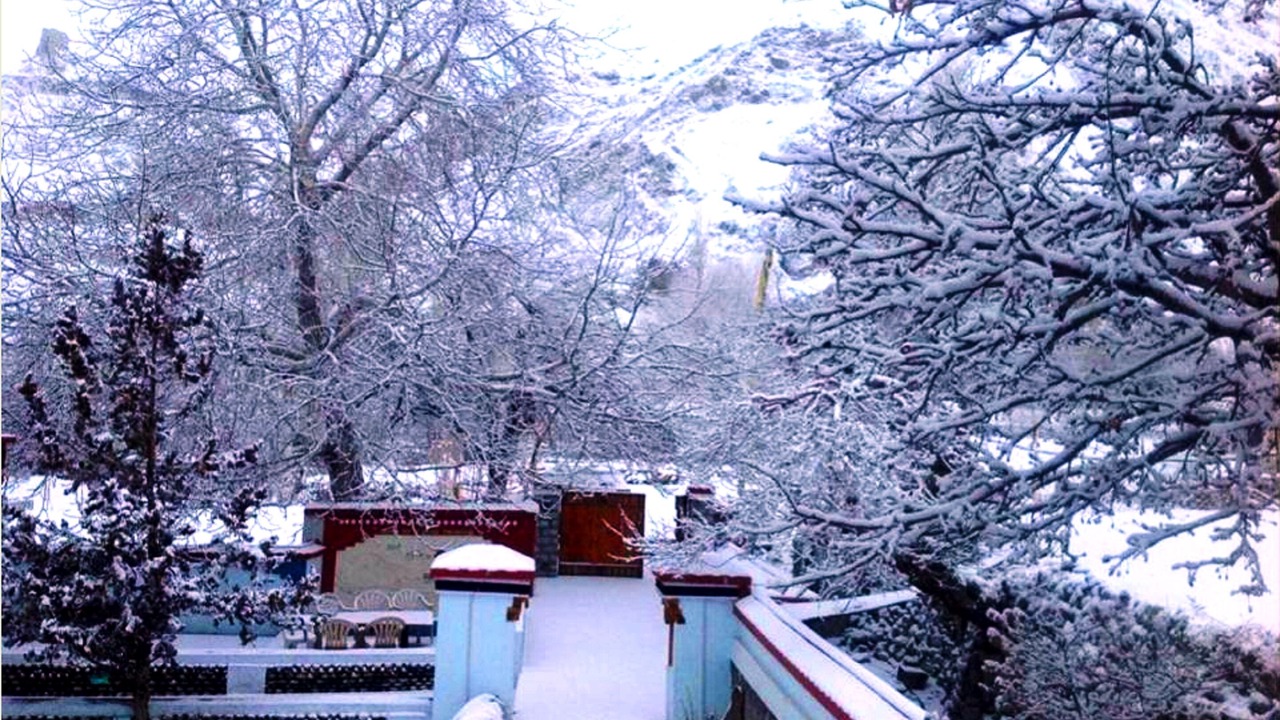Photo of Patio Balcony in Tingmosgang