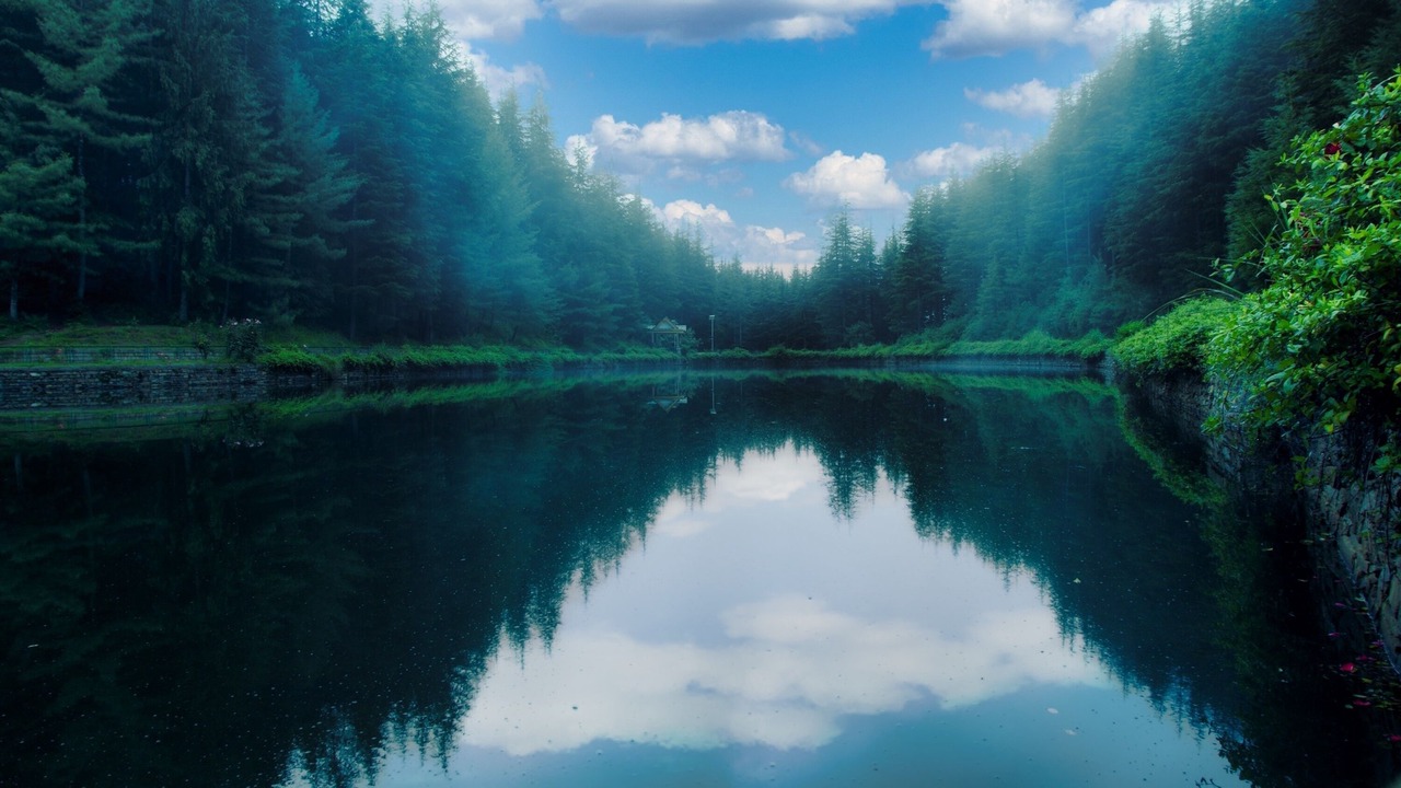 Photo of Outdoor in Kumharsain