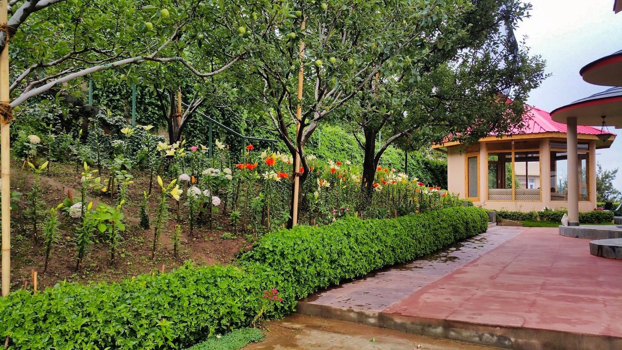 Photo of Outdoor in Kumharsain