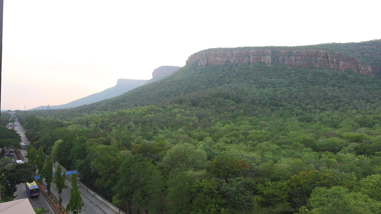 Photo of Others in Tirupati