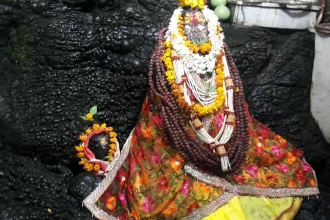 Photo of Others in Katra