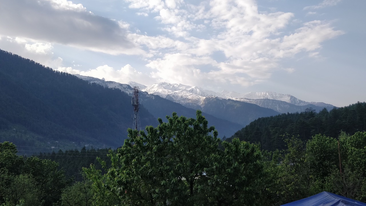 Photo of Others in Old Manali