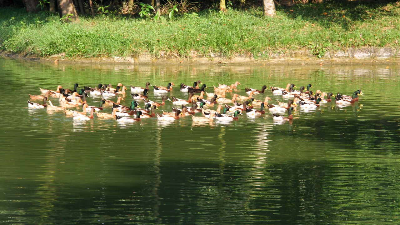 Photo of Others in Nalkura
