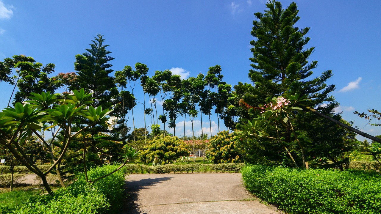 Photo of Outdoor in Nalkura