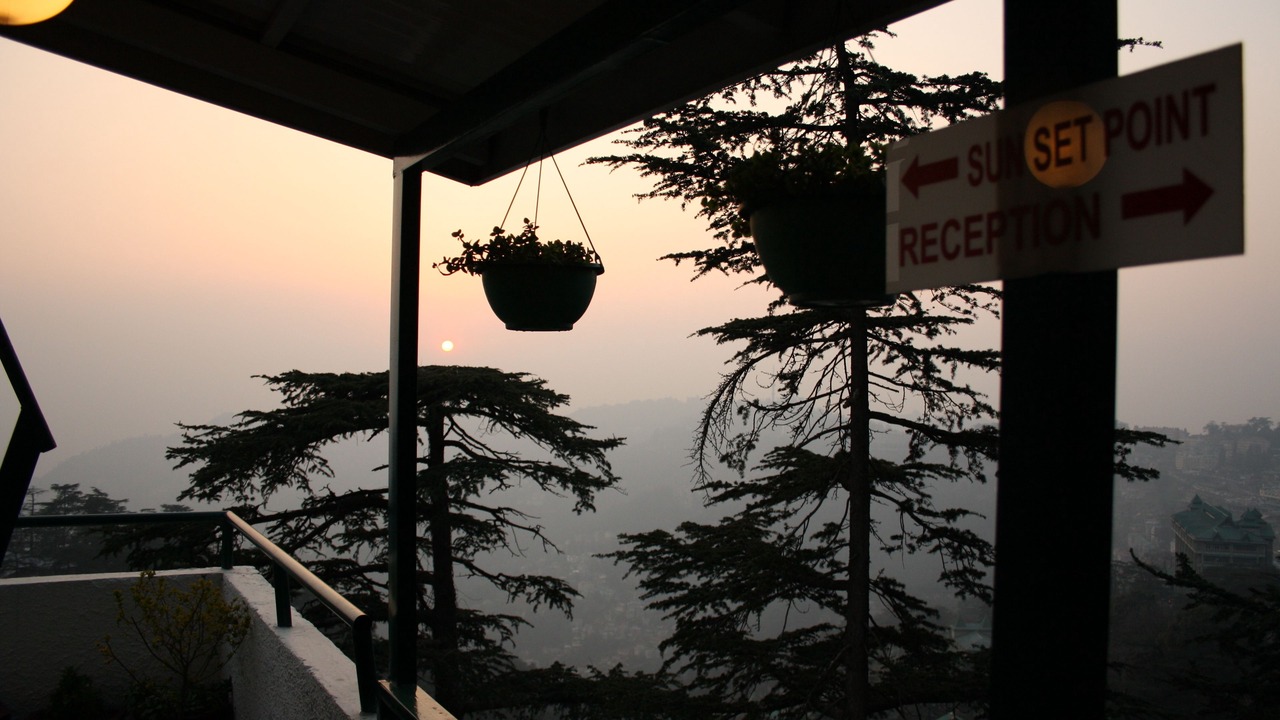 Photo of Others in Shimla