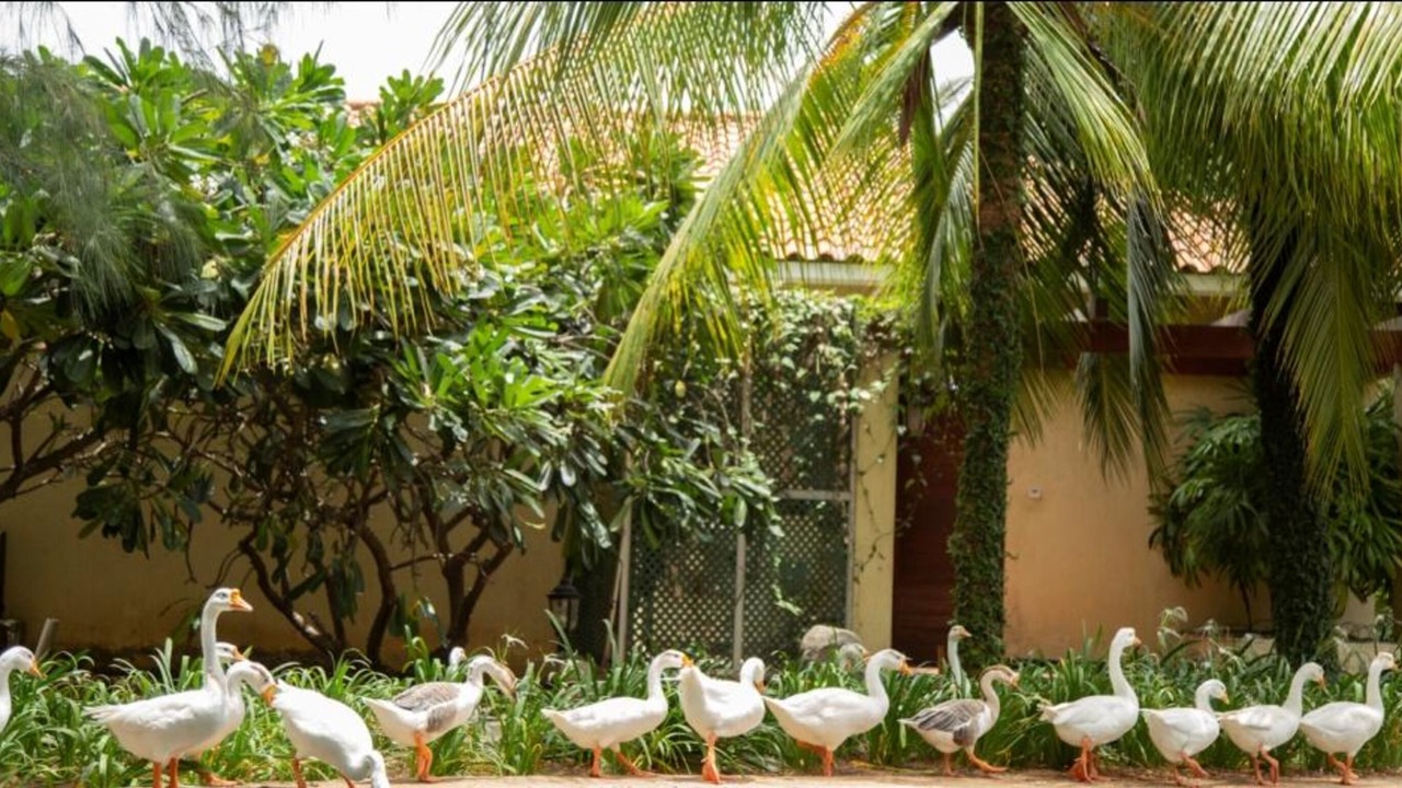 Photo of Outdoor in Manjakuppam