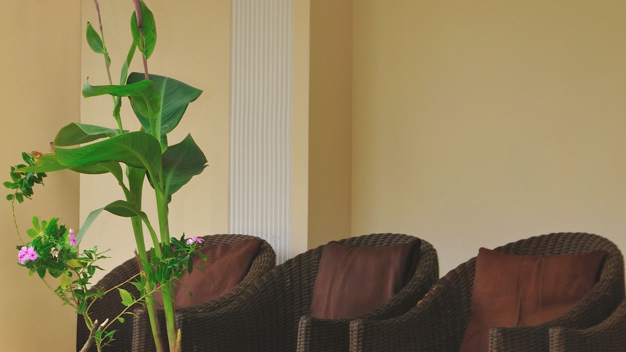 Photo of Patio Balcony in Dhikuli