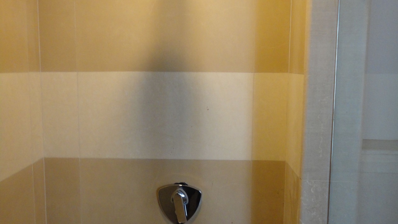 Photo of Bathroom in New Friends Colony