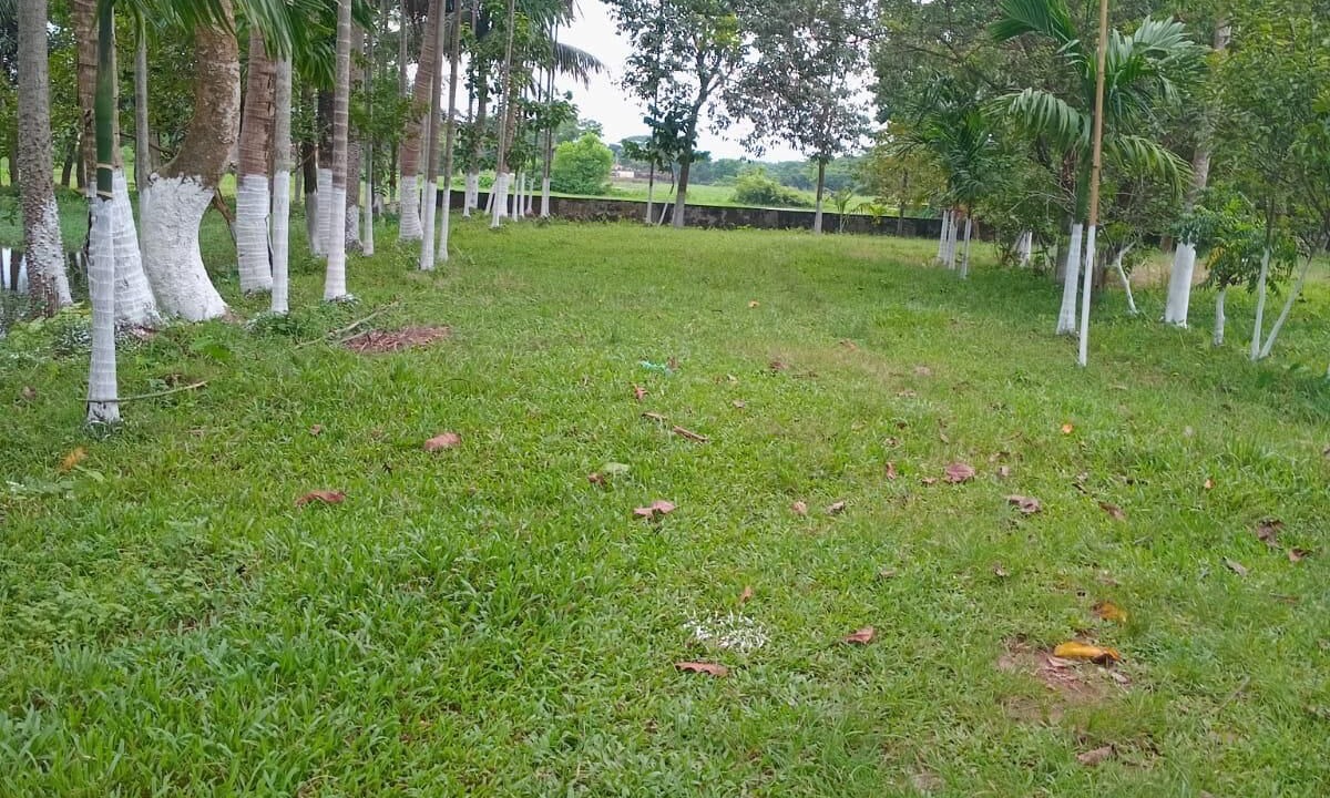 Photo of Others in Sylhet