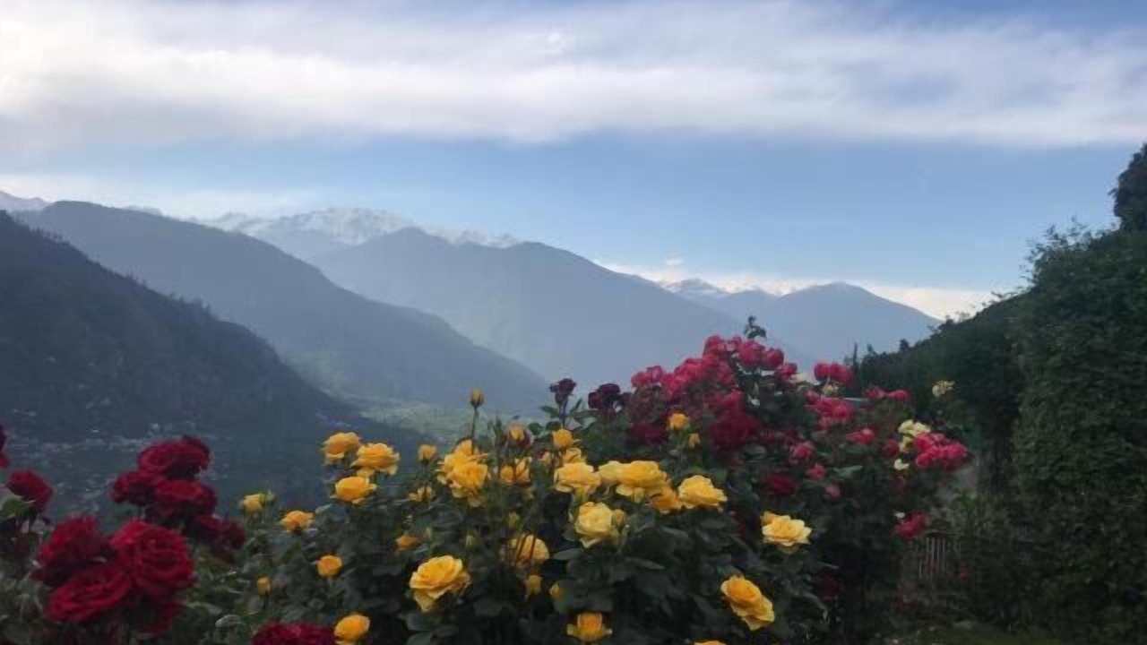 Photo of Outdoor in Mohal