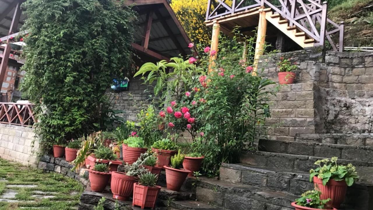 Photo of Outdoor in Mohal