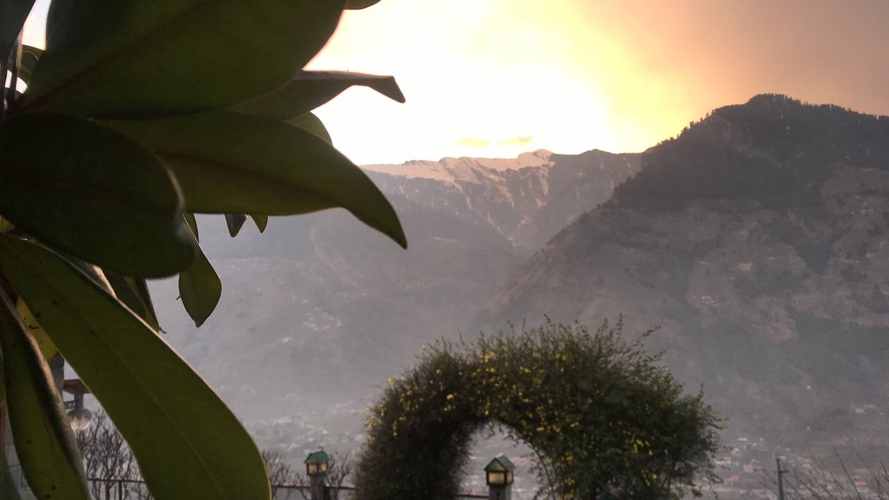 Photo of Outdoor in Mohal