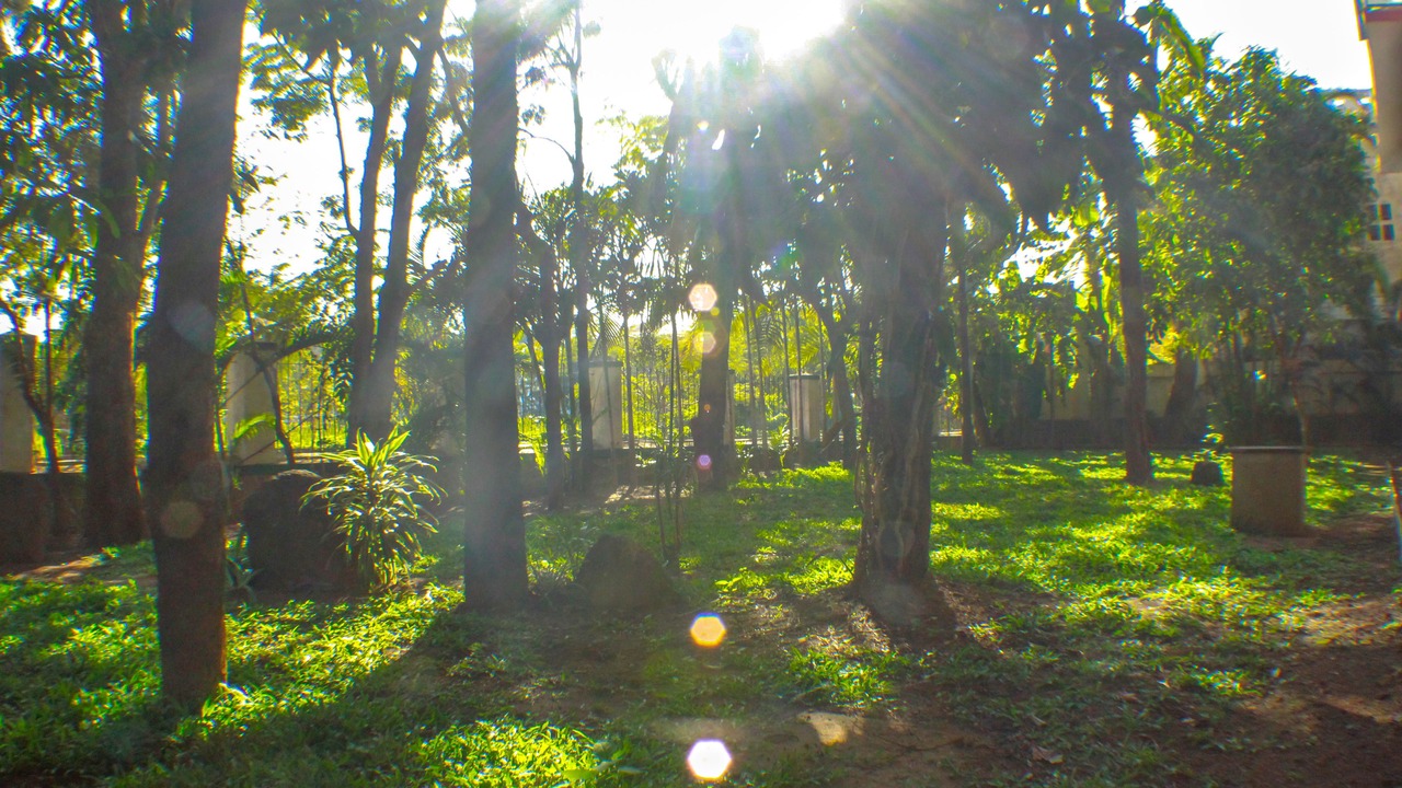 Photo of Outdoor in Lonavala