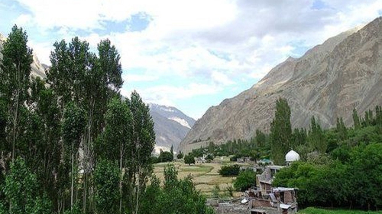 Photo of Others in Leh