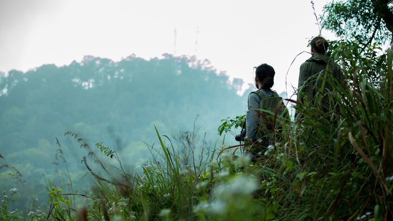 Photo of Outdoor in Kunnathidavaka