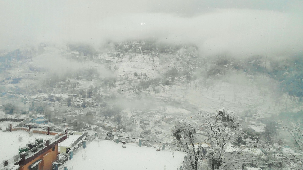 Photo of Others in Almora