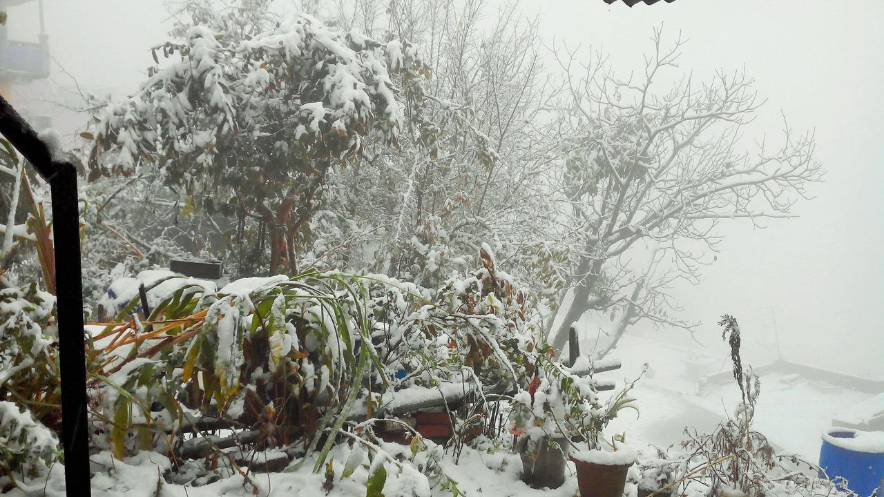 Photo of Outdoor in Almora
