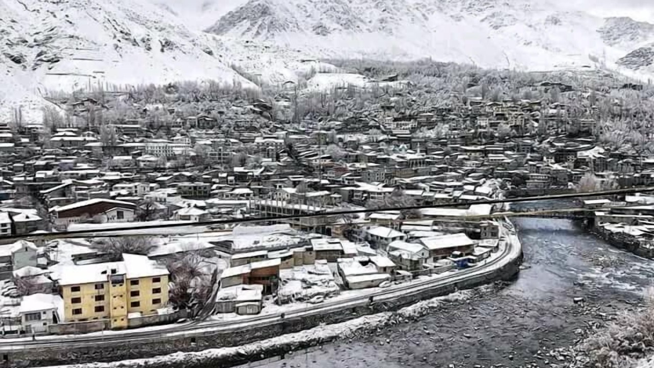 Photo of Others in Shargole