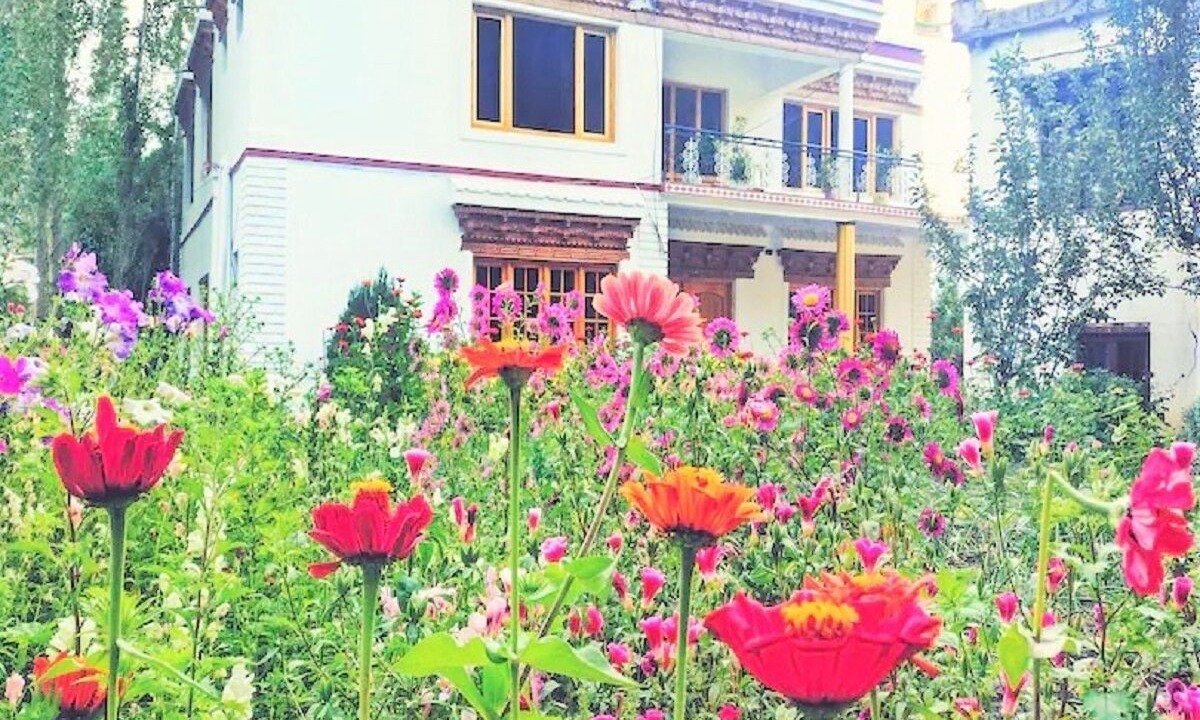 Photo of Outdoor in Hunder