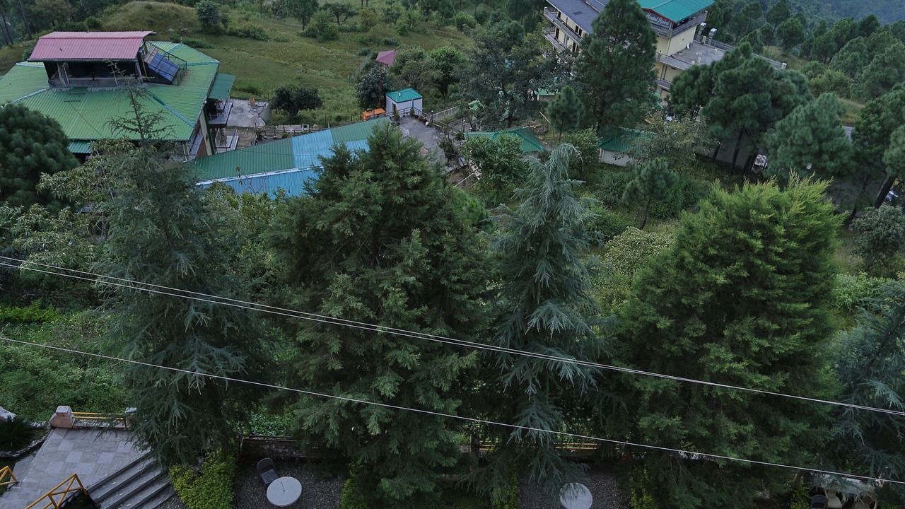 Photo of Outdoor in Lansdowne