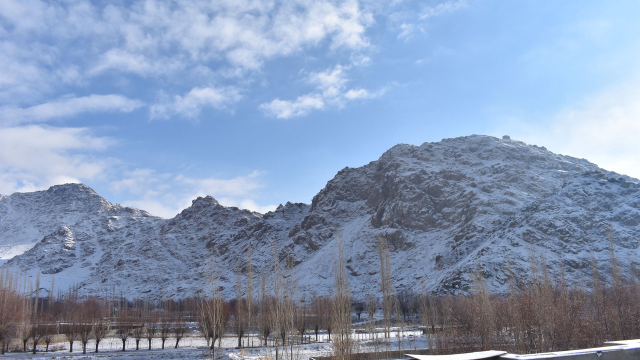 Photo of Others in Leh