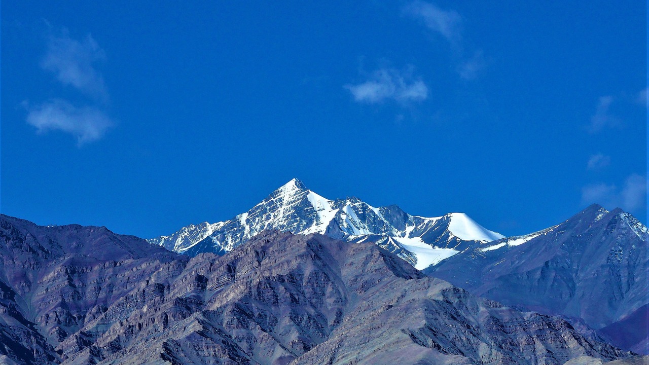 Photo of Others in Leh