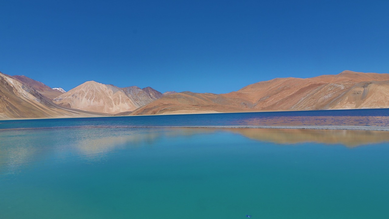 Photo of Others in Leh